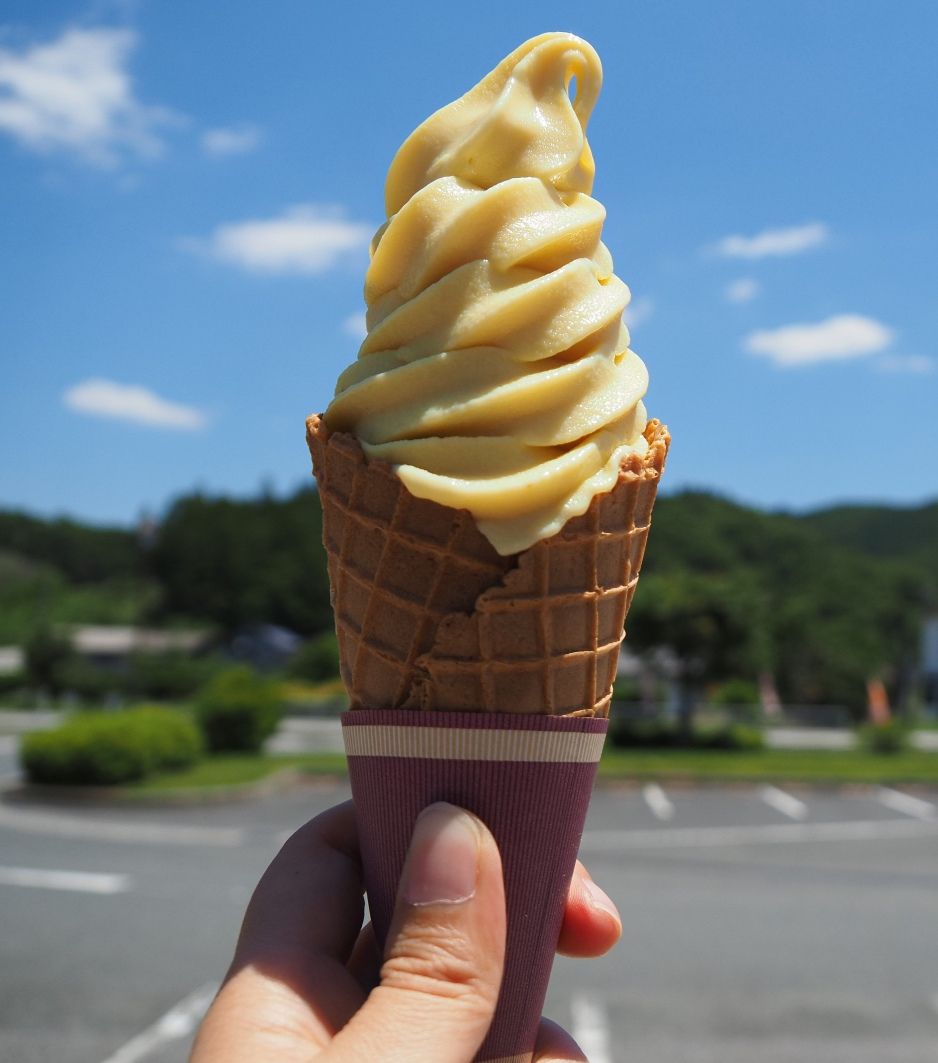 「道の駅 鯉が窪」には地産地消の魅力がいっぱい!米粉に千屋牛、幻の栗ソフト(新見市)
